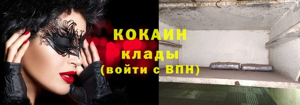 прущие грибы Белоозёрский
