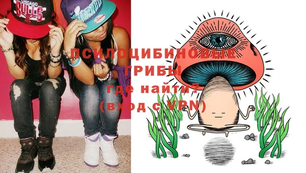прущие грибы Белоозёрский