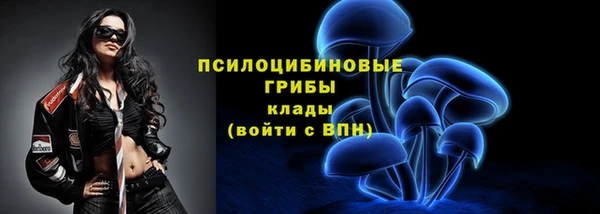 СК Беломорск