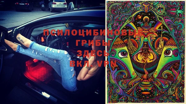 каннабис Новодвинск